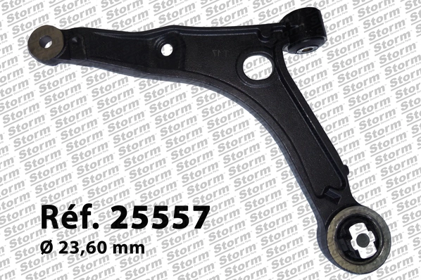 Control/Trailing Arm, wheel suspension (25557)