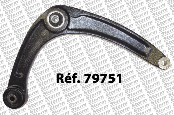 Control/Trailing Arm, wheel suspension (79751)