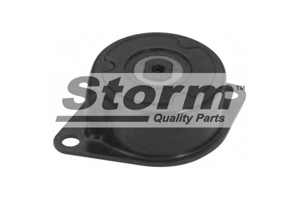 Belt Tensioner, V-ribbed belt (F4447)