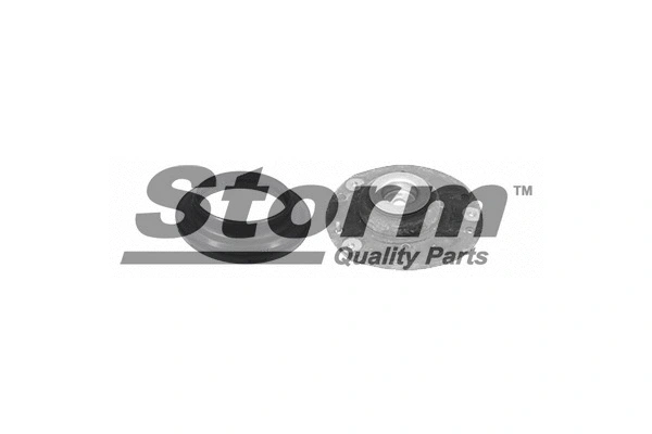Repair Kit, suspension strut support mount (F10964)