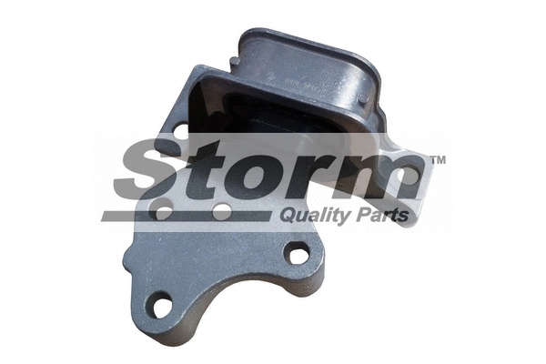 Mounting, engine (F10065)