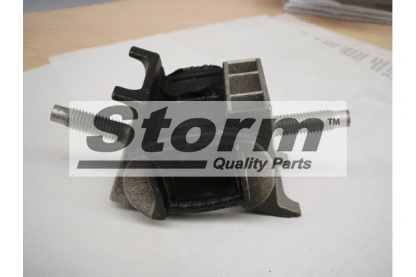 Mounting, engine (F0856)