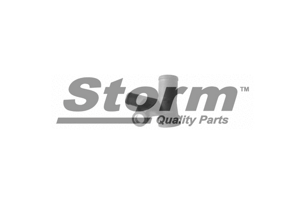 Coolant Flange (F3199)