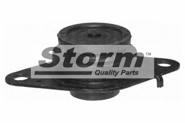 Mounting, engine (F2000)