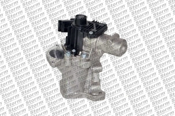 EGR Valve (9065)