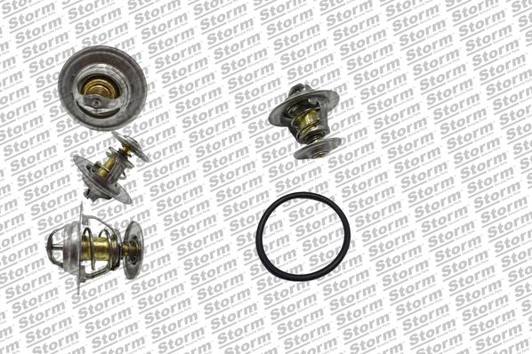 Thermostat, coolant (199066)