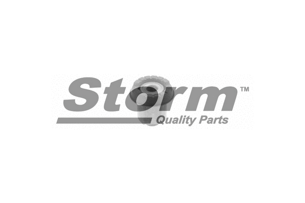 Bushing, axle bracket (F4078)