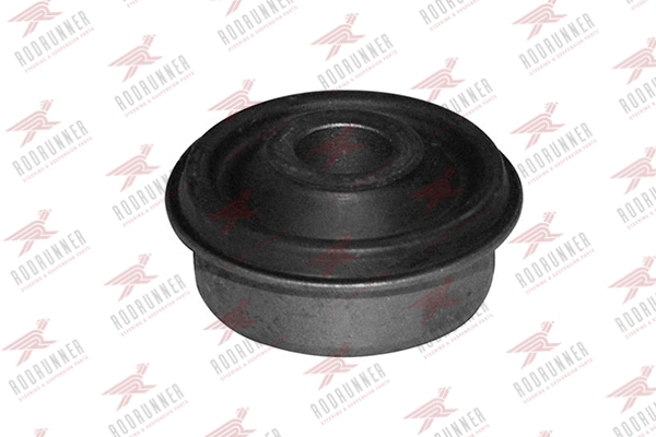 Bushing, axle beam (BC-AU-BS010)