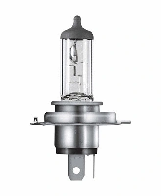 Bulb, spotlight (62186)