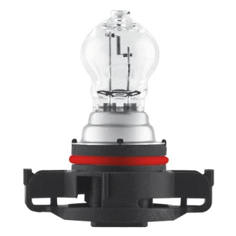 Bulb, direction indicator (2504)