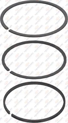 Piston Ring Kit (01.133)
