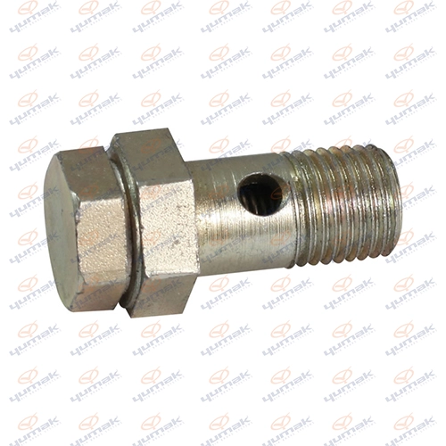 Valve, injection system (51.01.029)