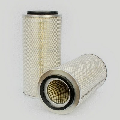 Air Filter (P181088)