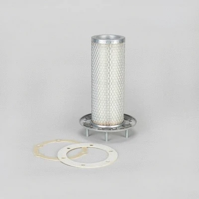 Secondary Air Filter (P158664)