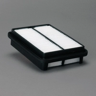 Air Filter (P606272)