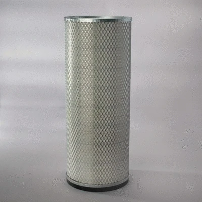 Secondary Air Filter (P119372)