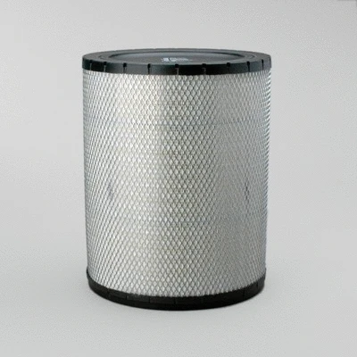 Air Filter (P181120)