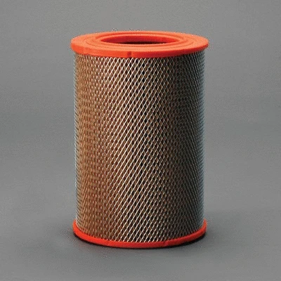 Air Filter (P606952)