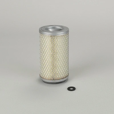 Secondary Air Filter (P130769)