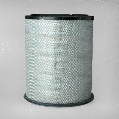 Air Filter (P782396)