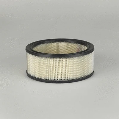 Air Filter (P524350)