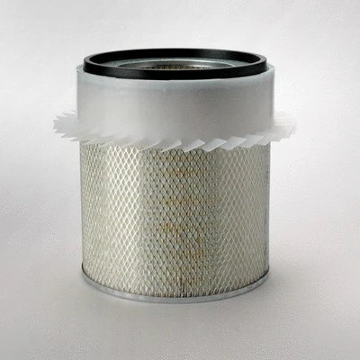 Air Filter (P182000)