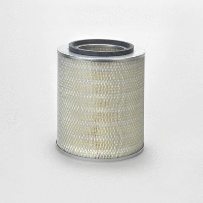 Air Filter (P776260)