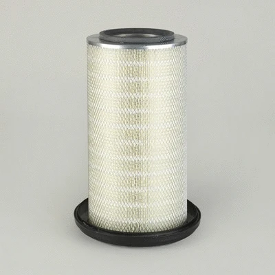Air Filter (P772507)