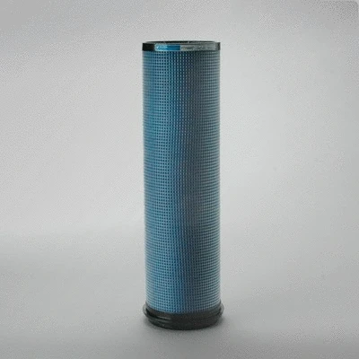 Secondary Air Filter (P776697)