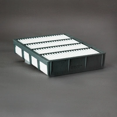 Air Filter (P606061)