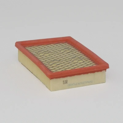 Air Filter (P524382)