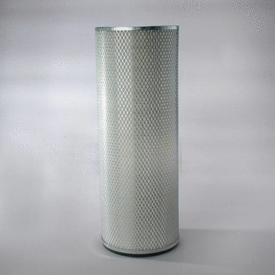 Secondary Air Filter (P116446)