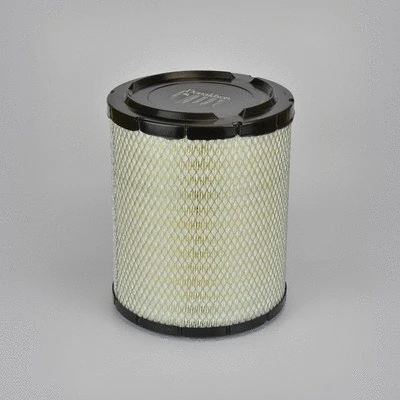 Air Filter (P635335)