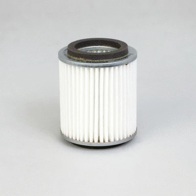 Air Filter (P500048)