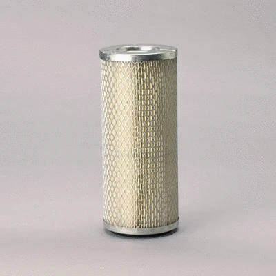 Air Filter (P136390)