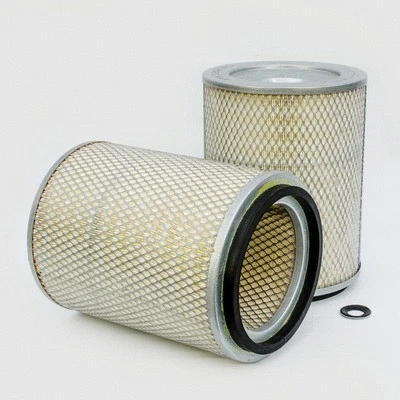 Air Filter (P533230)
