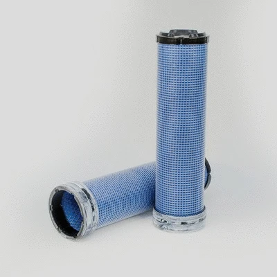 Secondary Air Filter (P780523)
