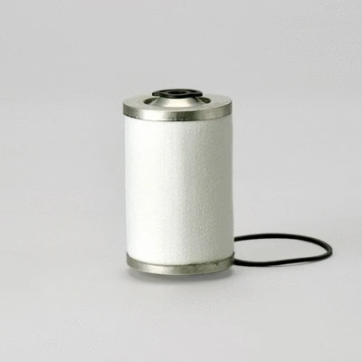 Fuel Filter (P550349)
