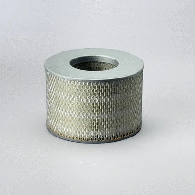 Air Filter (P500125)