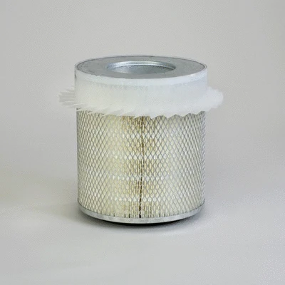 Air Filter (P118343)