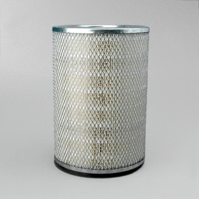 Air Filter (P182034)