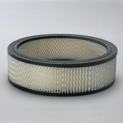 Air Filter (P524355)