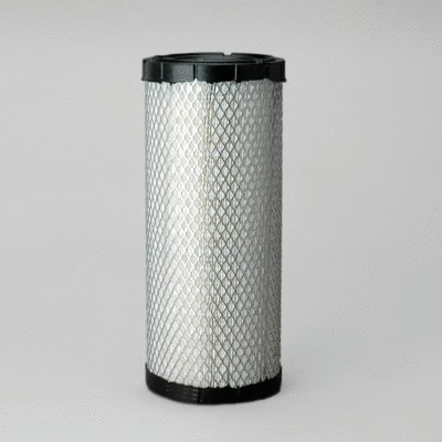 Air Filter (P827653)