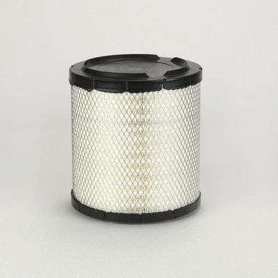 Air Filter (P849069)