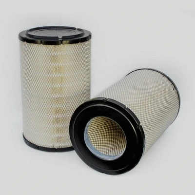 Air Filter (P619046)