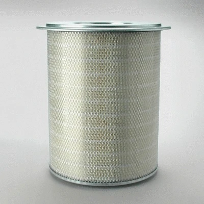 Air Filter (P182099)