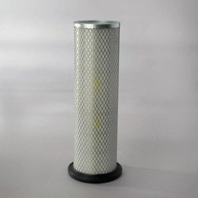 Secondary Air Filter (P130772)