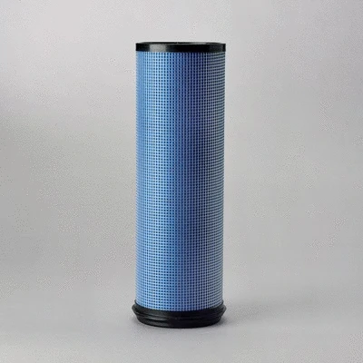 Secondary Air Filter (P777551)