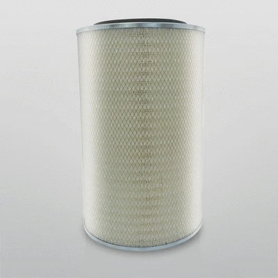 Air Filter (P182073)