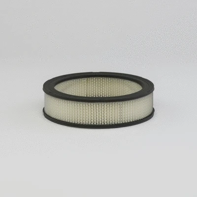 Air Filter (P530642)